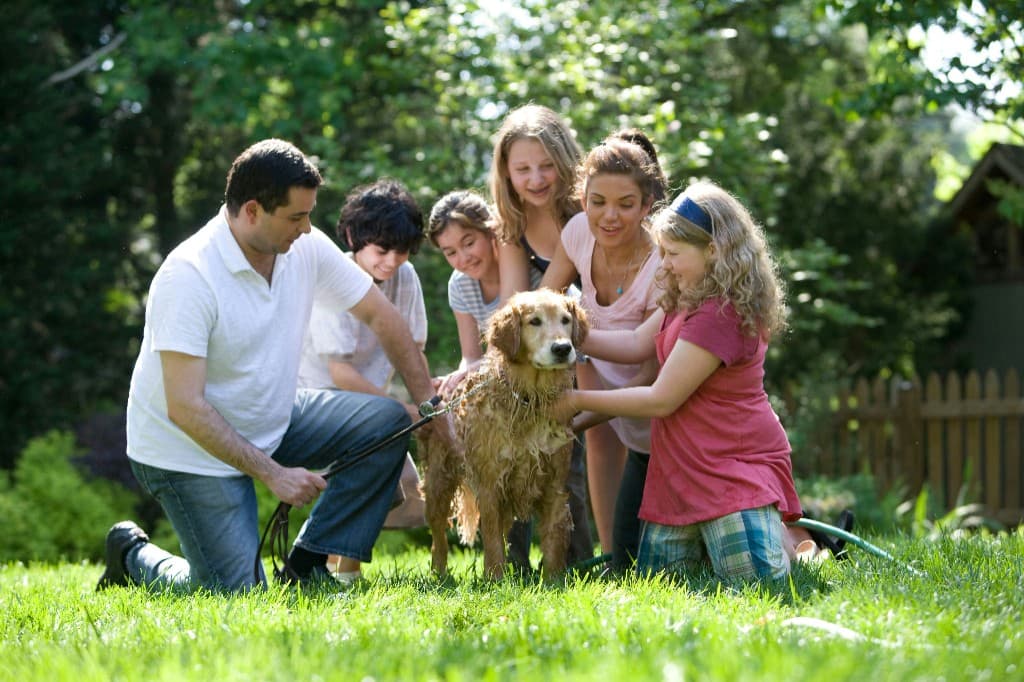 Family washing their dog in the backyard