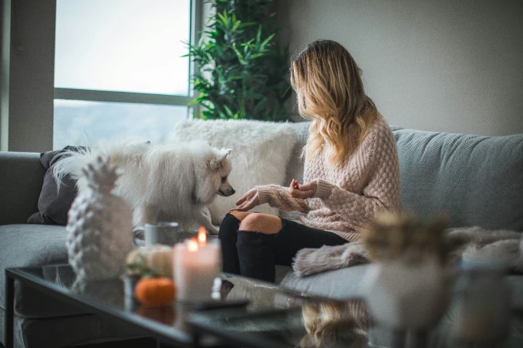 Cozy living room at home with a pet